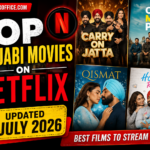 top-punjabi-movies-on-netflix.