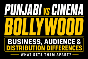 Punjabi Cinema vs Bollywood: Business, Audience and Distribution Differences