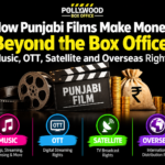 How Punjabi Films Make Money Beyond the Box Office: Music, OTT, Satellite and Overseas Rights