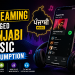 How Streaming Changed Punjabi Music Consumption