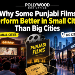Why Some Punjabi Films Perform Better in Small Cities Than Big Cities