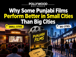 Why Some Punjabi Films Perform Better in Small Cities Than Big Cities